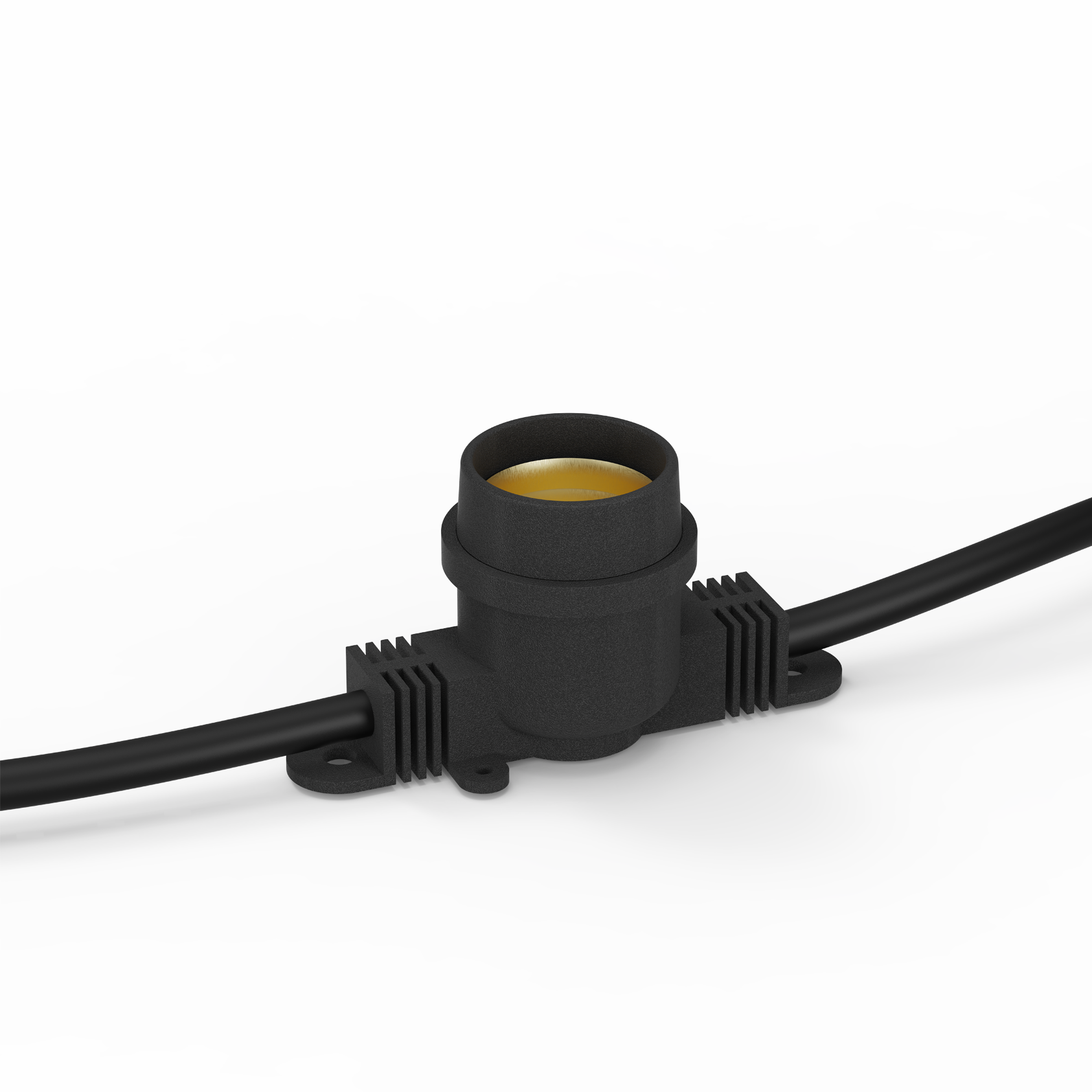 AQF Festoon